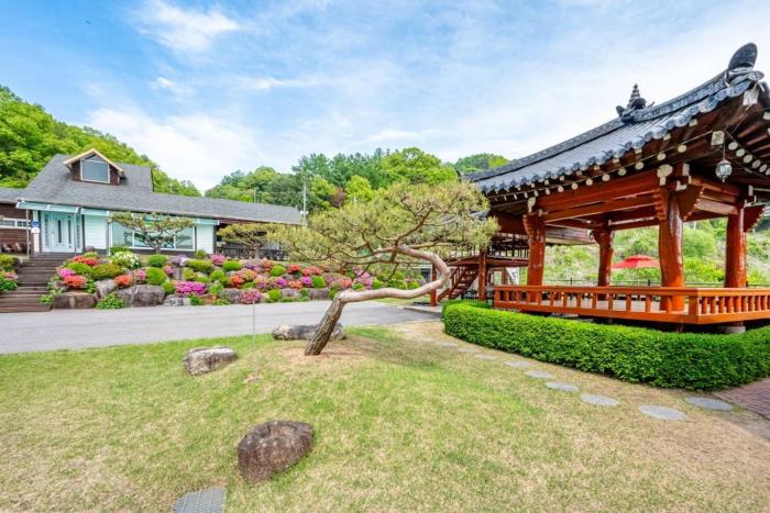 Gangchon White House in the Forest