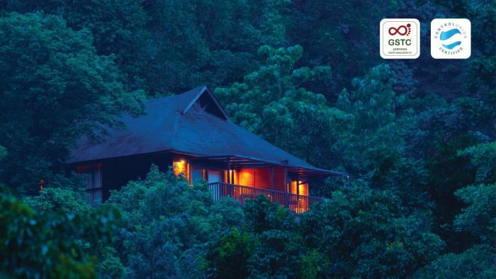 The Tamara Coorg