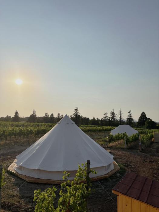 Glamp Mezi Vinicemi