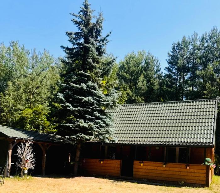 Park Poleski - Sosnowe Zacisze