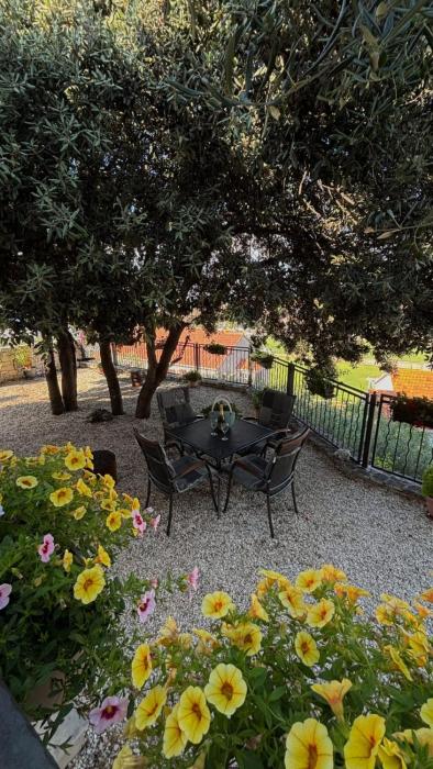 One bedroom apartment Fanica