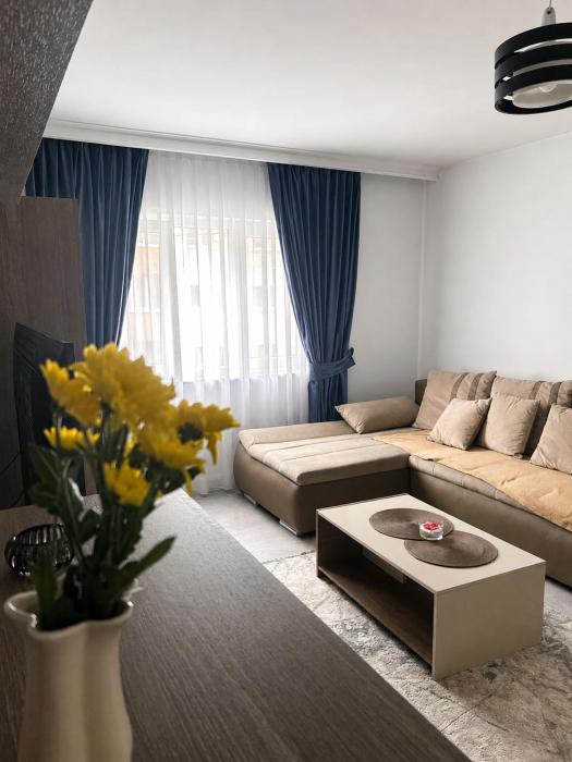 Borșa ApartHotel 4