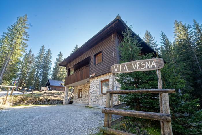 Vila Vesna