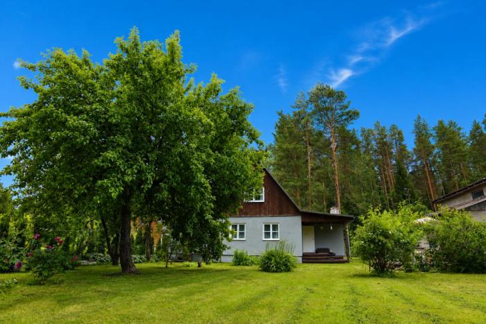 Türi Puhkemaja - Murunella