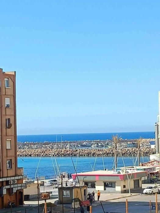 Salamandre Vue sur le port