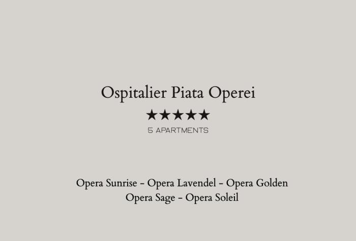Ospitalier Piata Operei - 5 spacious apartments in City Center