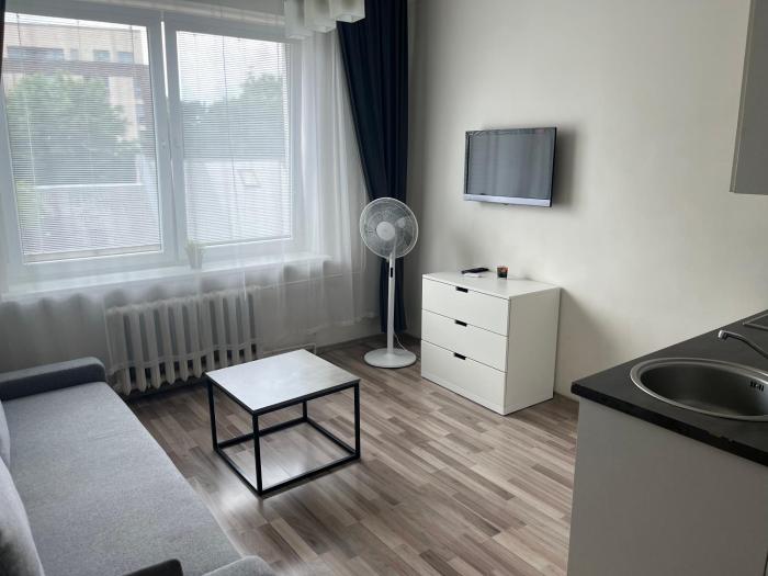 Vilnius Central Apartments