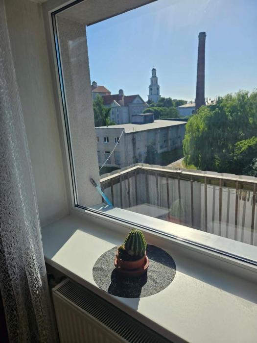 Barinu Street apartment