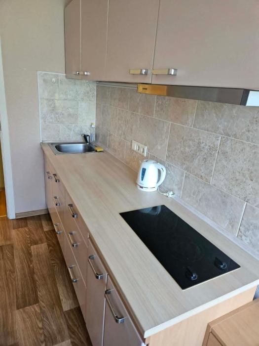 Dzintaru street apartment