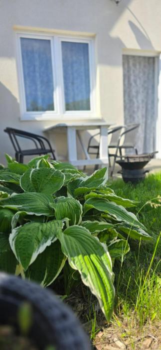 Apartamenty Stacja Bałtyk