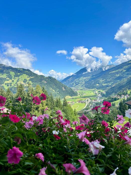 Haus Heimat - Alpenrose