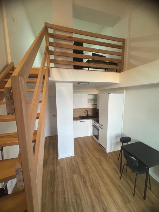 Central Apartments Opava - Design
