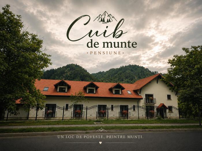 Cuib de Munte