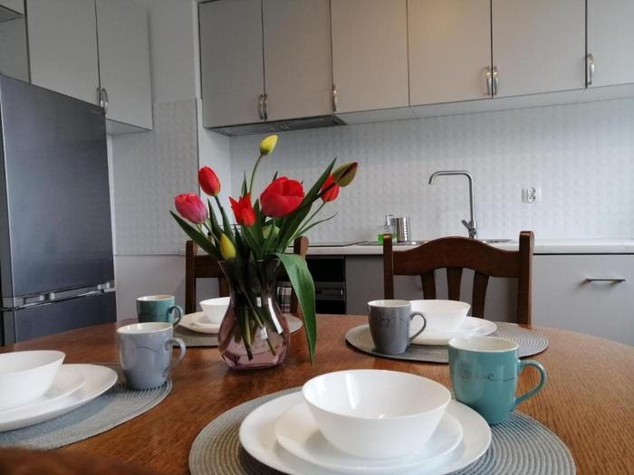 Apartament z kominkiem Orłowo