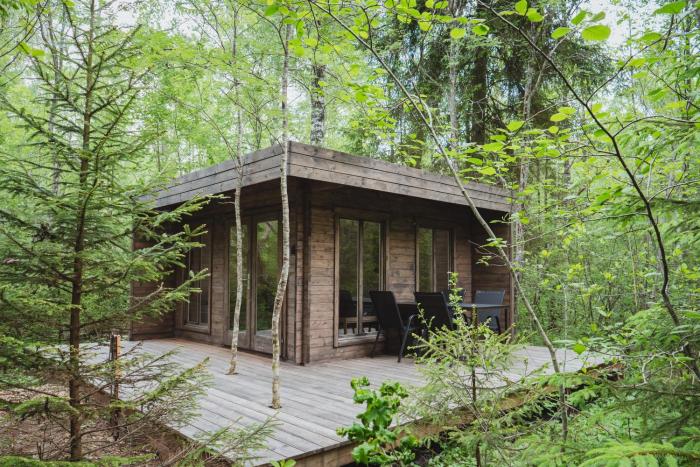 Private Forest Cabin Quiet Nature Stay for 3