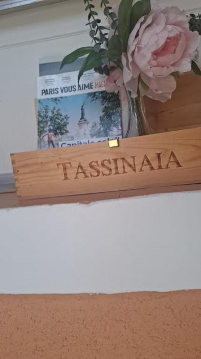 Meine Reisen