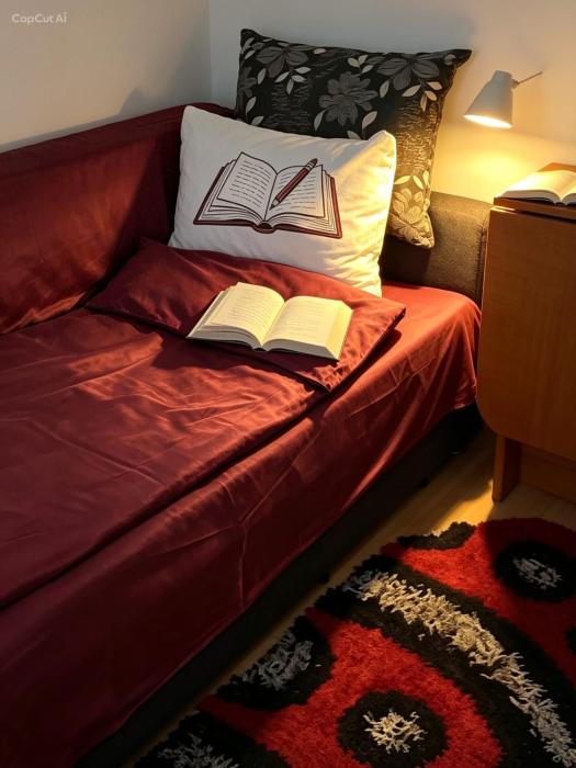 studio garsoniera iasi