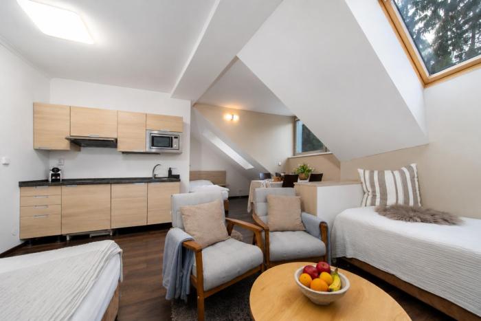 Anenský Apartmán C303 s wellness , O2 TV a stabilní rychlou WIFI, s možností dokoupení snídaní a s možností dokoupení masáží
