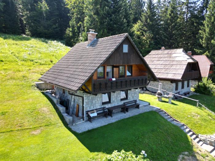 Private Forest Cabin with Epic View