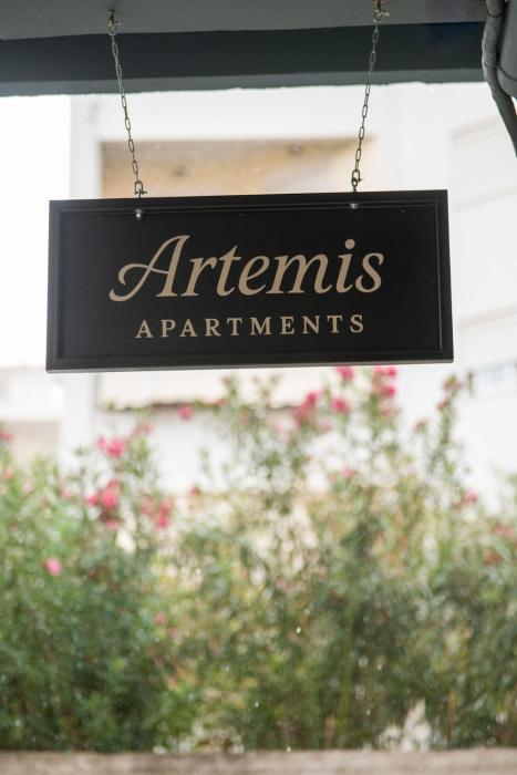 Artemis Apartments 2