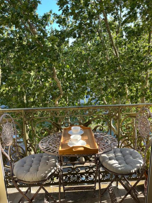 Appartement haussmannien - balcon - cœur de Narbonne