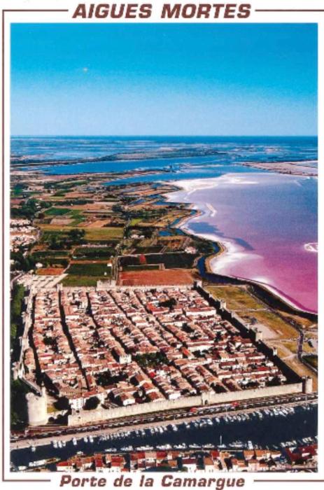 Camargue - Languedoc - Provence - Aigues-Mortes
