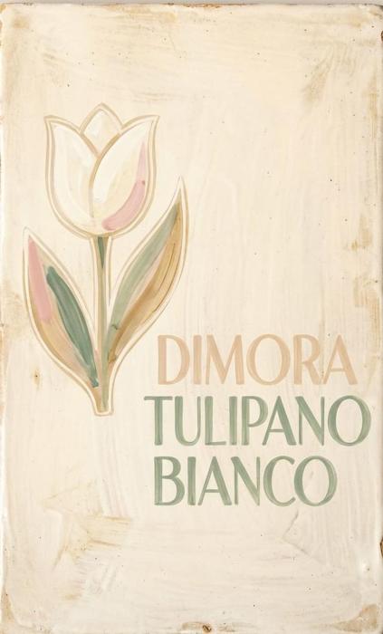 Dimora IL TULIPANO BIANCO