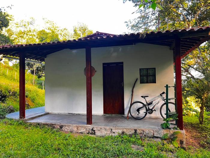 Sitio Viração