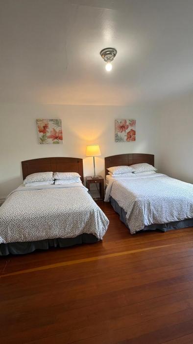 Van Guesthouse