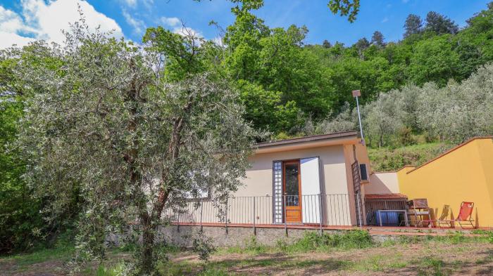 Green House in the Woods - with Olive Trees, Wi-Fi