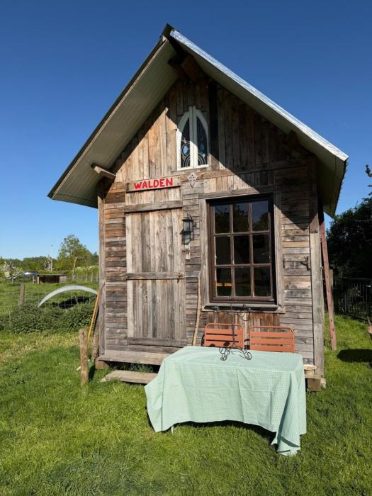 Super gezellig huisje voor 2 op prachtig domein!
