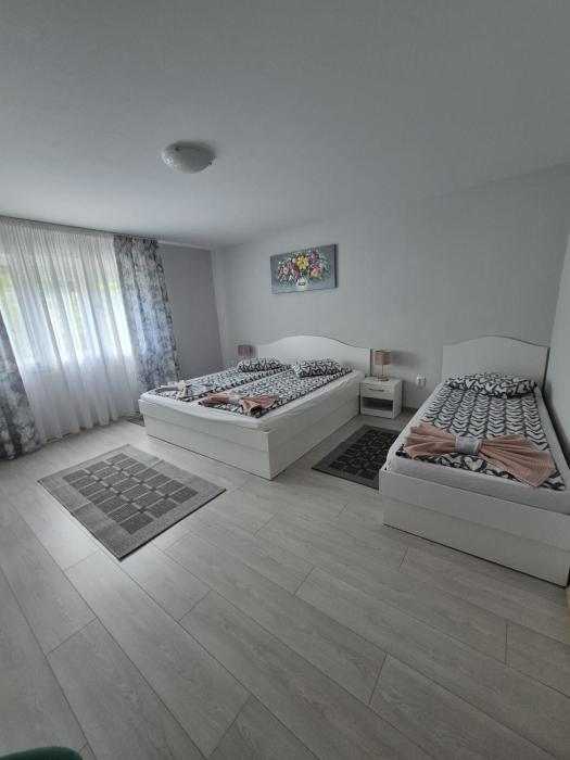 Casa De Oaspeti Anna