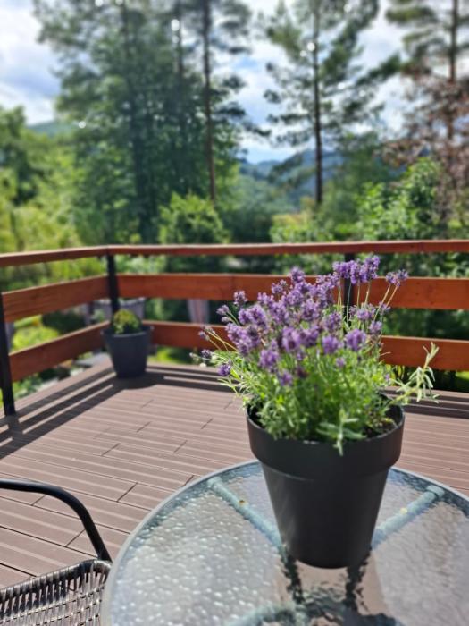 Apartamenty Cisowa Turnia- na Białym Potoku