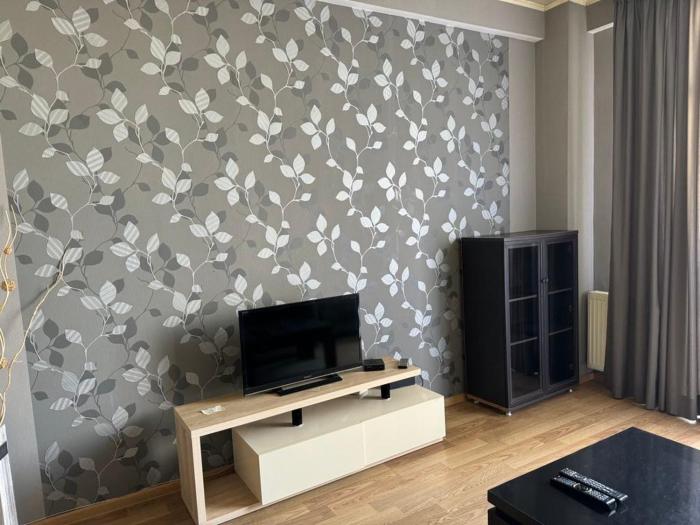 Cozy Rental Near Metro