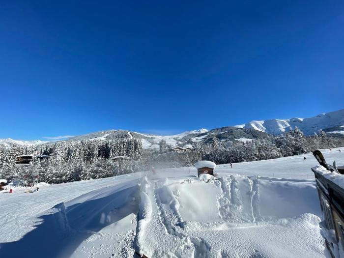Appartamento sulle piste Apartment on the slopes
