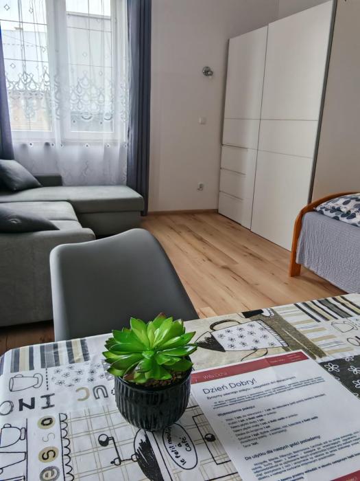 Apartamenty z basenem, grotą solną i sauną