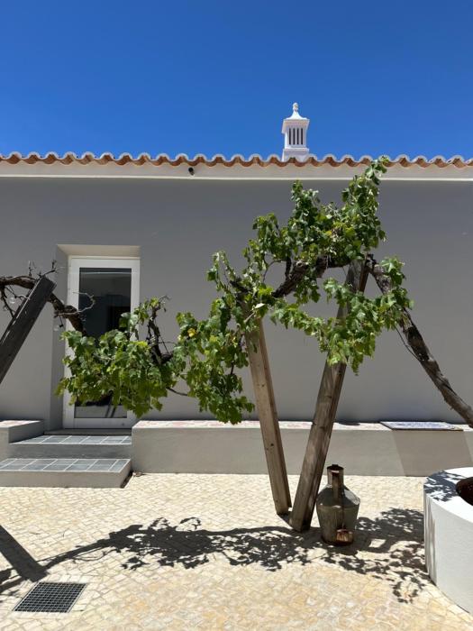casa é vida