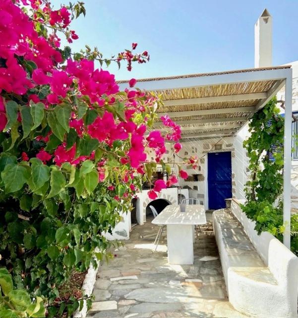 Villa Ambelas - Traditional House
