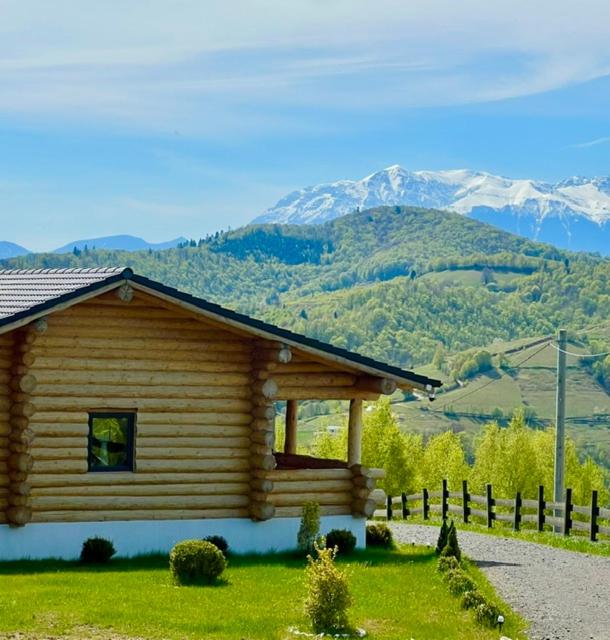 Sub Stele Chalets