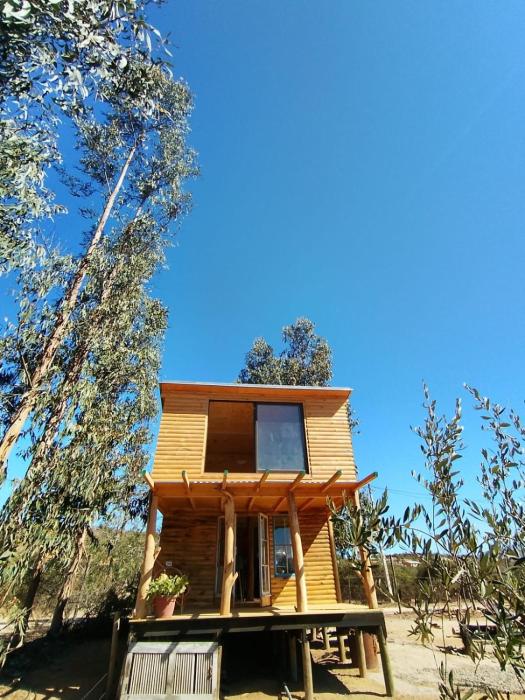 Maruca House