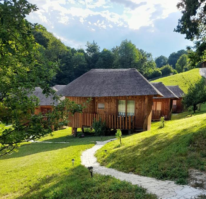 Bionic healing village