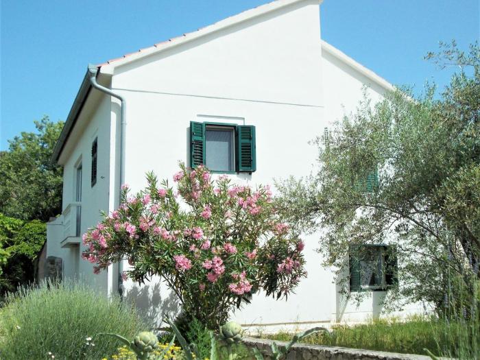 Spacious house in Lukoran with sea view