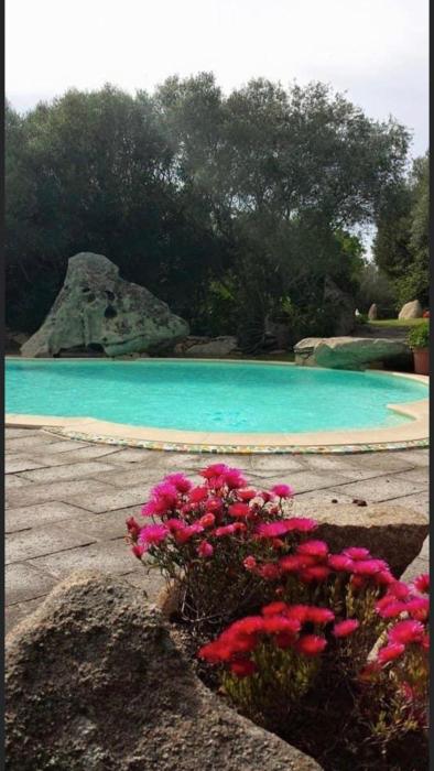 Seaside Villa in Porto Rotondo + Shared Pool