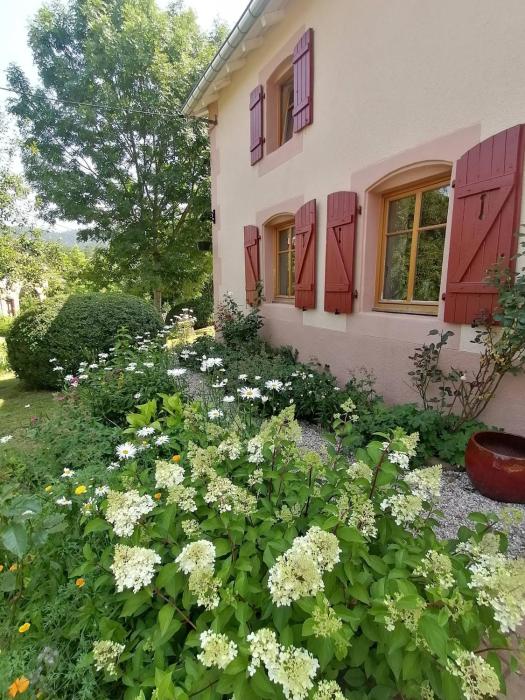 Maison charmante dans le village de Taintrux avec jardin