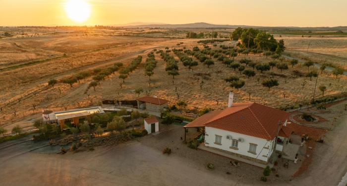 Casa De Campo Das Oliveiras