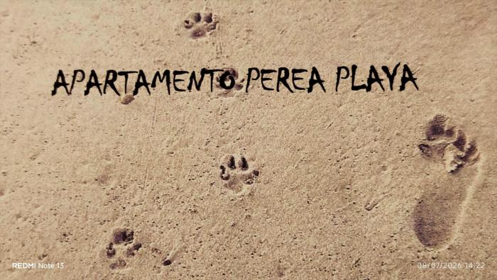 Apartamento Perea playa