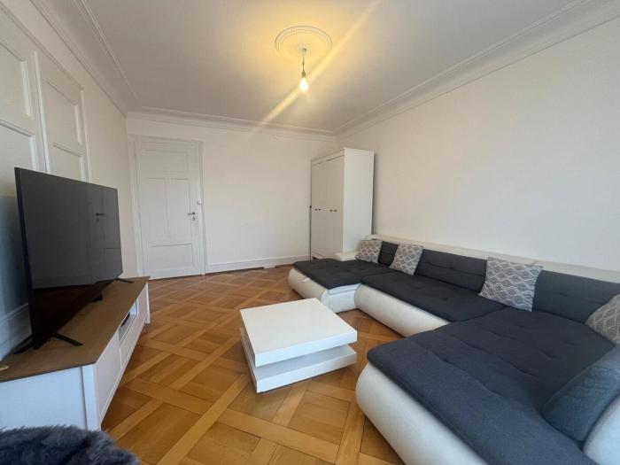 Bright Geneva City Apartment with Classic Charm