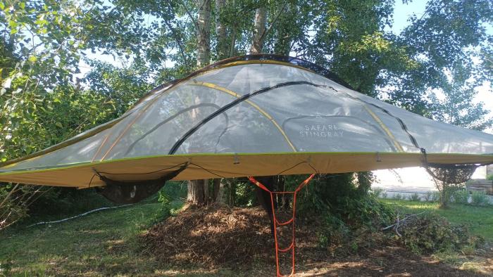 Tree Tent Bratislava