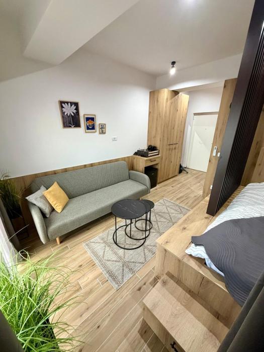 Compact Studio Suite in Central Ohrid