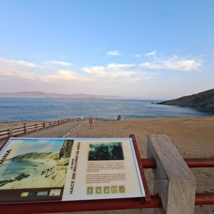 Open door paracas